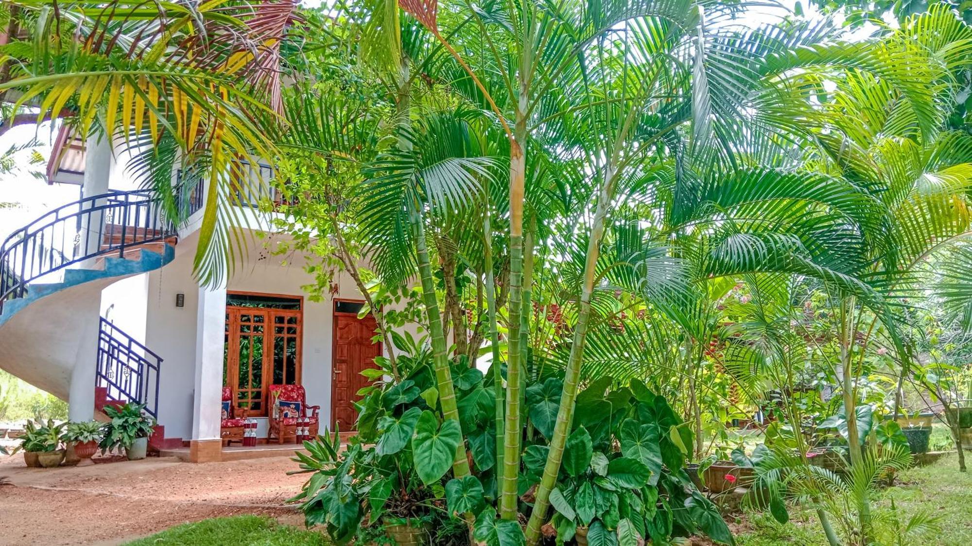 Gimhana Homestay Sigiriya Eksteriør bilde