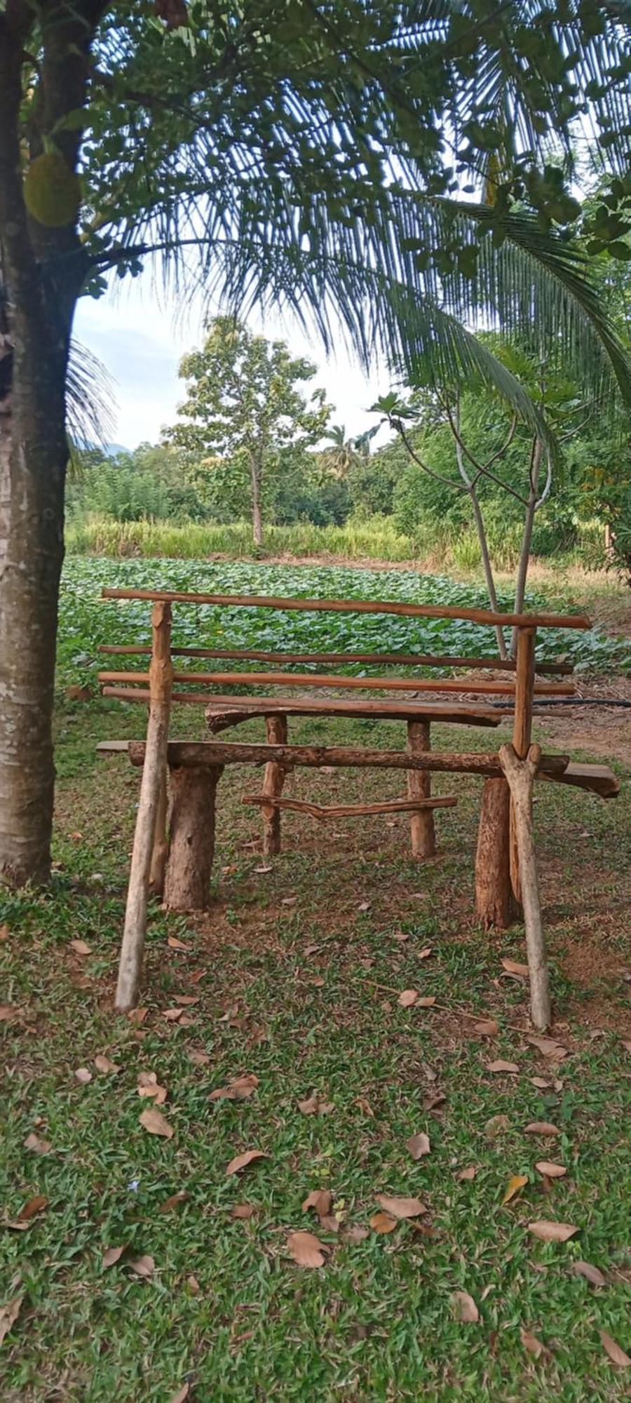 Gimhana Homestay Sigiriya Eksteriør bilde